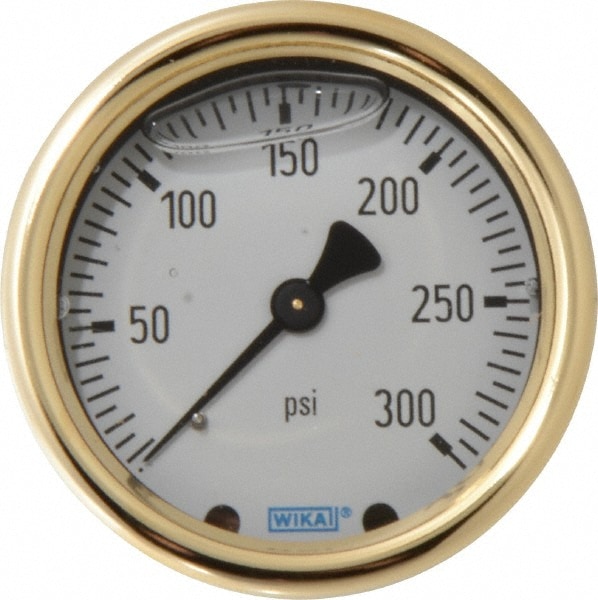 Wika 9318208 Pressure Gauge: 2-1/2" Dial, 0 to 300 psi, 1/4" Thread, NPT, Back Mount Image