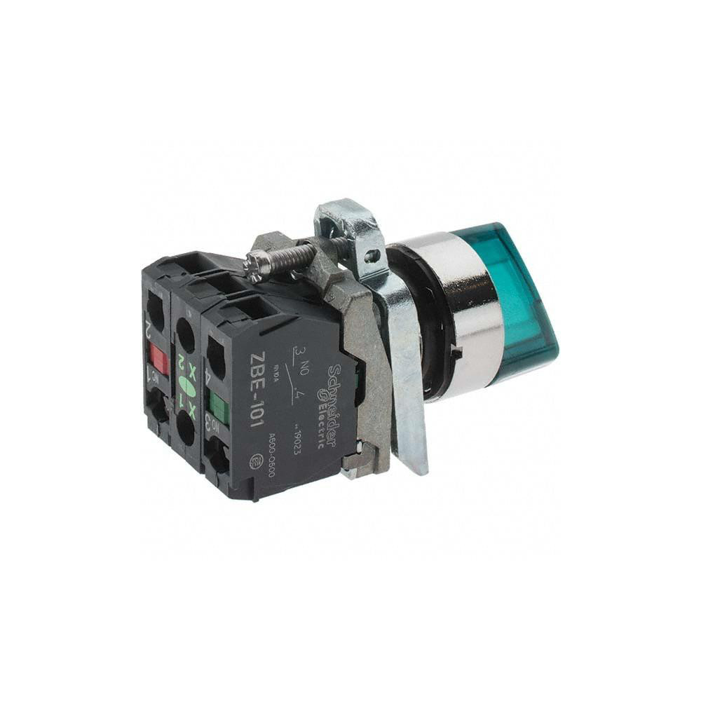 Schneider Electric 22mm Mount Hole, 2 Position, Handle Operated