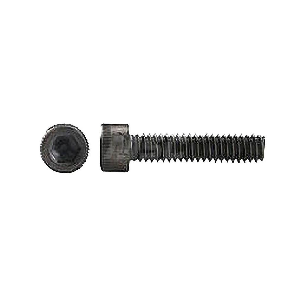 Hex Socket Cap Screw: M16 x 2.00
