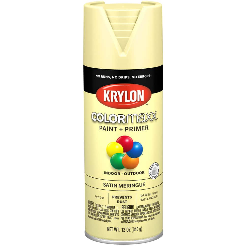 Krylon - Metallic Spray Paint: Dull Aluminum, 16 oz - 02512143 - MSC  Industrial Supply