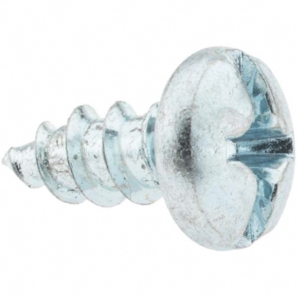 Sheet Metal Screw: #12, Pan Head, Slotted & Phillips