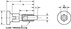 M6x1.0, 13mm Thread Length, 0.118" Max Plunger Diam, 0.11 Lb Init to 0.34 Lb Final End Force, Knob Handle Plunger