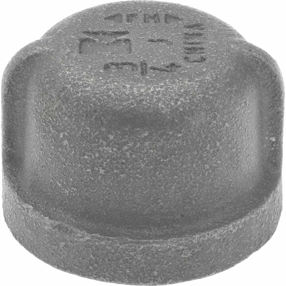 B&K Mueller - Black End Cap: 3/4
