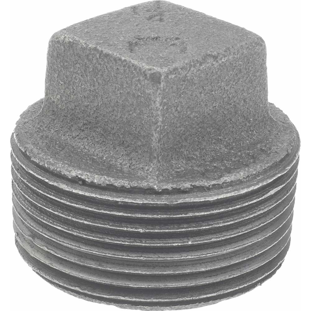 Black Square Plug: 1-1/4", Threaded
