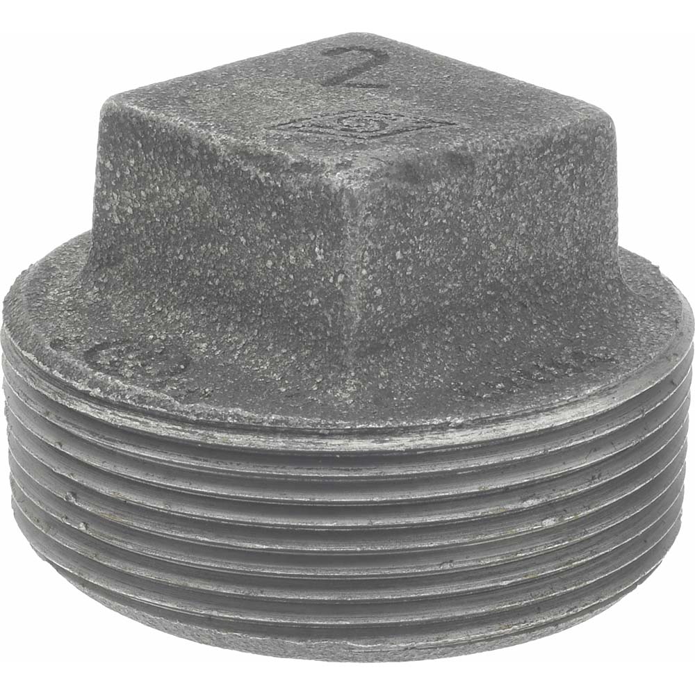 Black Square Plug: 2", Malleable Iron