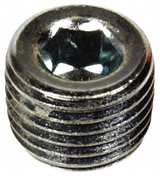 Oil Drain Plugs With Gaskets