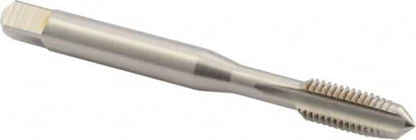 DORMER 5976598 1/4-26 Plug RH Bright High Speed Steel 3-Flute Straight Flute Machine Tap 