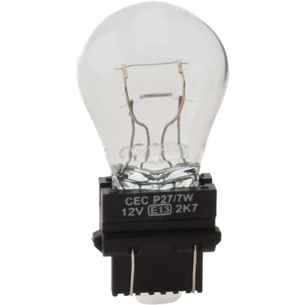 Incandescent Miniature & Specialty S8 Lamp