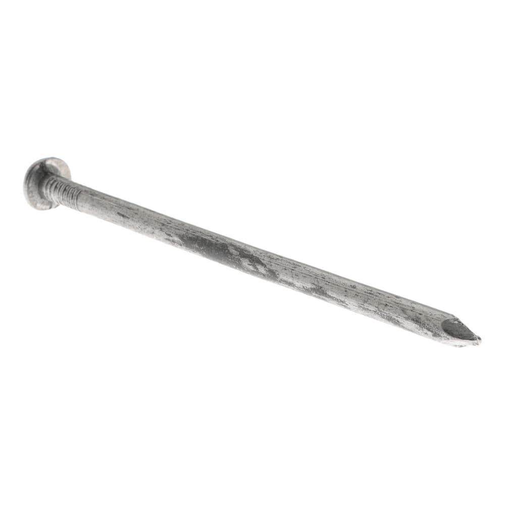 Top Round 2.5inch SS Wire Nail, Thickness: 0.3inch, Gauge: 4 Gauge at best  price in Dhemaji