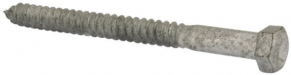 1/2" Screw, 6" Length Under Head, Steel, Hex Head Lag Screw