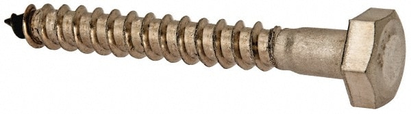 Value Collection R63234162 1/4" Screw, 2" Length Under Head, Stainless Steel, Hex Head Lag Screw Image