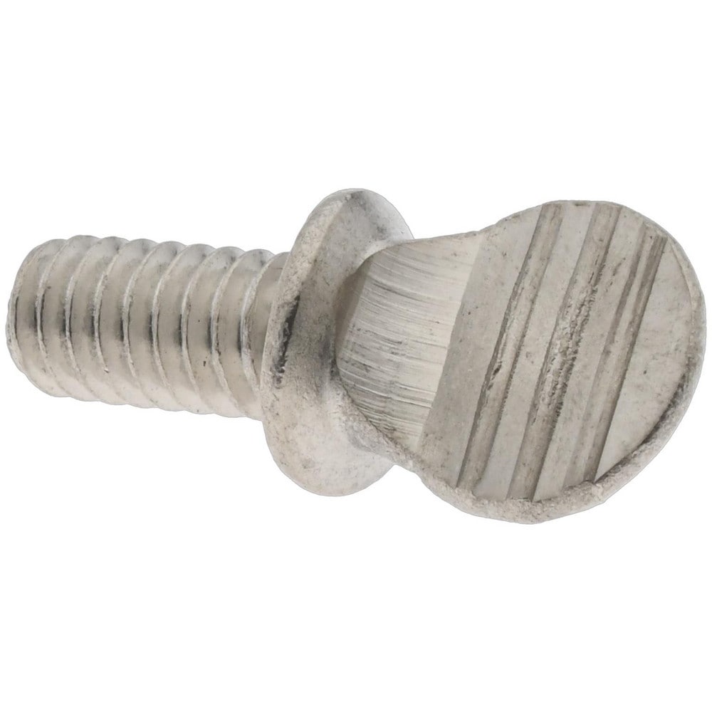 18-8 Stainless Steel Thumb Screw: 1/4-20, Oval Head