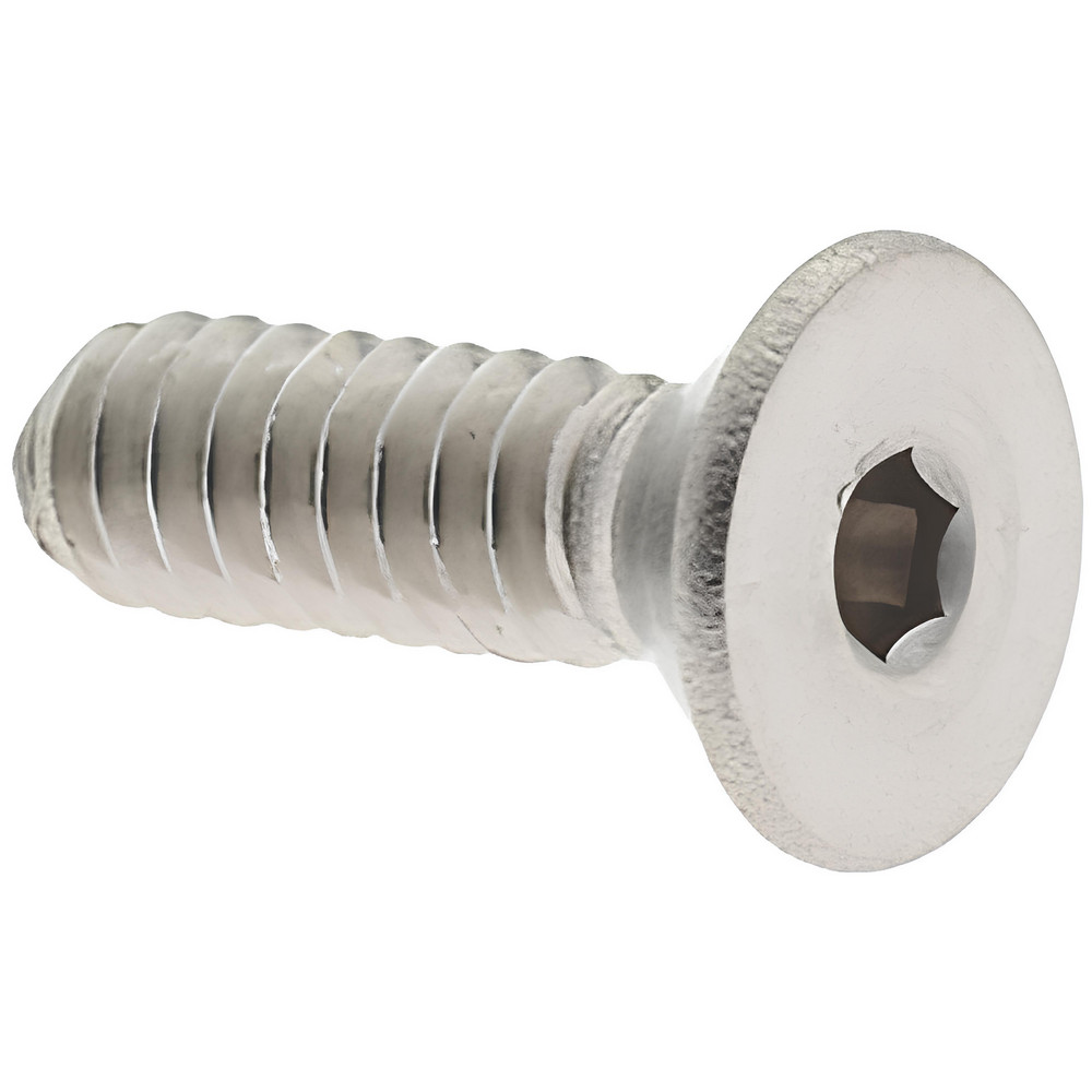 Value Collection - Machine Screw: #4-40, 1/4