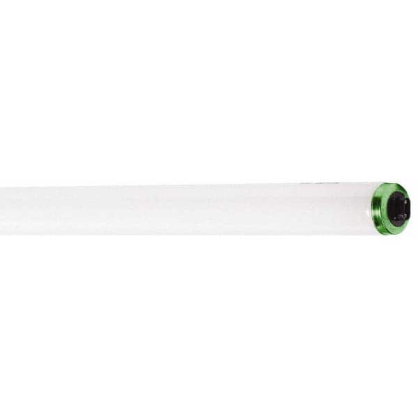 Fluorescent Tubular Lamp: 44 Watts, T8, Recessed Double Contact Base