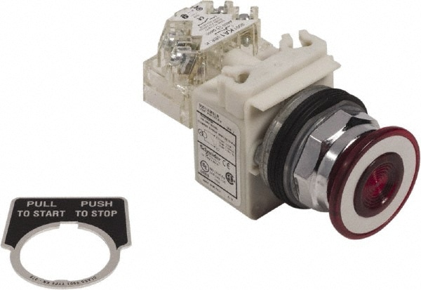 Schneider Electric 9001KR9P1LRRH13 Push-Button Switch: 30 mm Mounting Hole Dia, Maintained (MA) Image