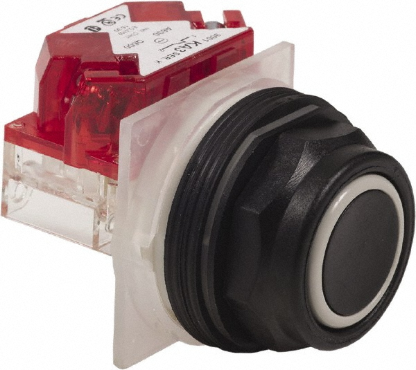 Schneider Electric 9001SKR1BH6 Push-Button Switch: 30 mm Mounting Hole Dia, Momentary (MO) Image
