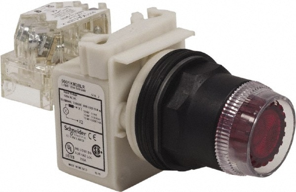 Schneider Electric 001SK1L38LRRH13 Push-Button Switch: 30 mm Mounting Hole Dia, Momentary (MO) Image