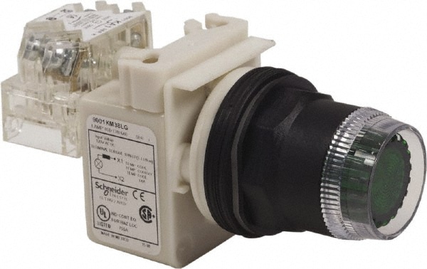 Schneider Electric 001SK1L38LGGH13 Push-Button Switch: 30 mm Mounting Hole Dia, Momentary (MO) Image