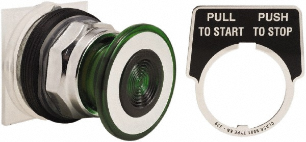 Schneider Electric 9001KR9G Push-Button Switch: 30 mm Mounting Hole Dia, Maintained (MA) Image