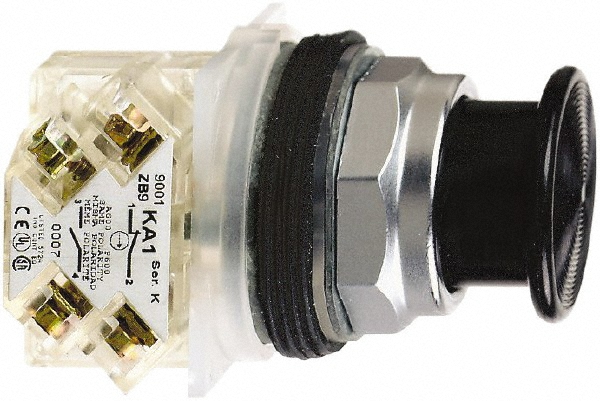 Schneider Electric 9001KR24BH13 Push-Button Switch: 30 mm Mounting Hole Dia, Momentary (MO) Image