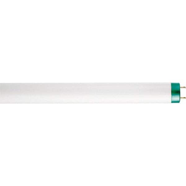 Fluorescent Commercial & Industrial Lamp: 32 Watts, T8, 2-Pin Base