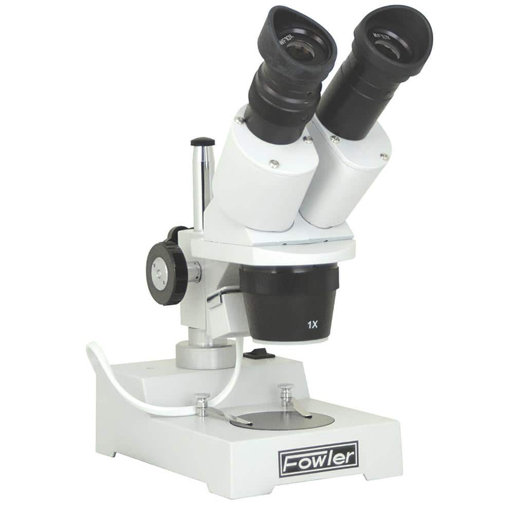 FOWLER 53-640-320 10x-30x Binocular Stereo Microscope 