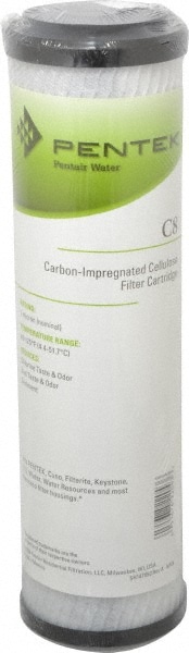 Pentair 155220-43 Plumbing Cartridge Filter: 2-5/8" OD, 9-3/4" Long, 1 micron, Carbon Impregnated Cellulose Image