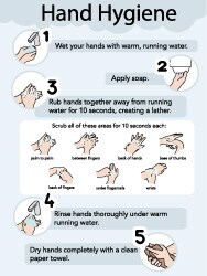 18" Wide x 24" High Laminated Paper Hand Hygiene Information Poster