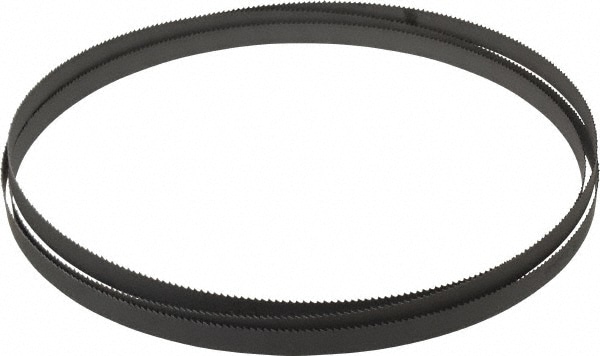 Starrett 16231 Welded Bandsaw Blade: 7 9" Long, 0.02" Thick, 10 TPI Image