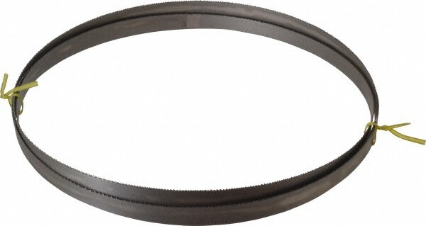 Starrett 15409 Welded Bandsaw Blade: 11 Long, 0.035" Thick, 10 to 14 TPI Image