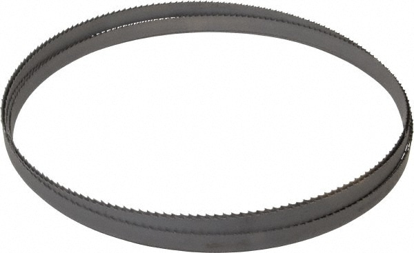 Starrett 16246 Welded Bandsaw Blade: 12 6" Long, 0.025" Thick, 6 TPI Image