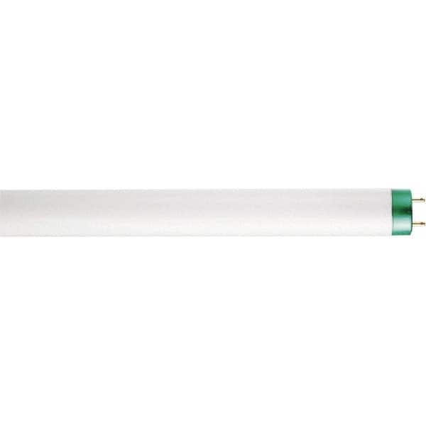 Fluorescent Tubular Lamp: 15 Watts, T8, Medium Bi-Pin Base