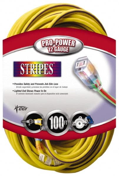 Southwire 2549SW0022 100, 12/3 Gauge/Conductors, Yellow/Purple Outdoor Extension Cord 