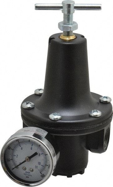 Parker R119-04CG Compressed Air Regulator: 1/2" NPT, 300 Max psi, Heavy-Duty T-Handle Image