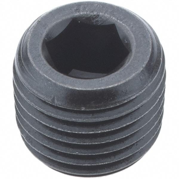 Holo-Krome 10006 1/4-18, 7/16" OAL, Alloy Steel Socket Pressure Plug Image