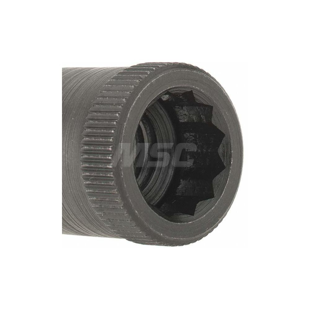 HoloKrome 3/816" Thread Uncoated Steel Allen Nut 75467506 MSC