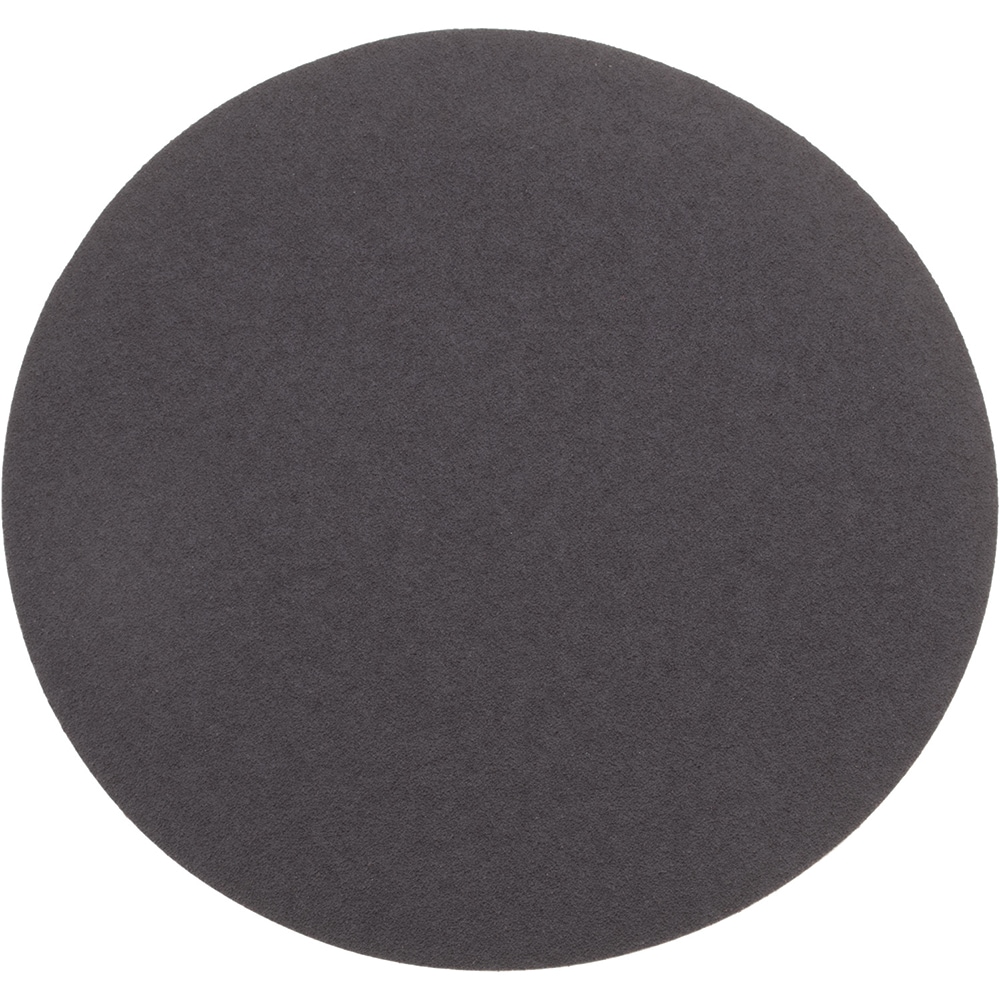 Norton 66261136602 PSA Disc: 10" Disc Dia, 60 Grit, Aluminum Oxide Image