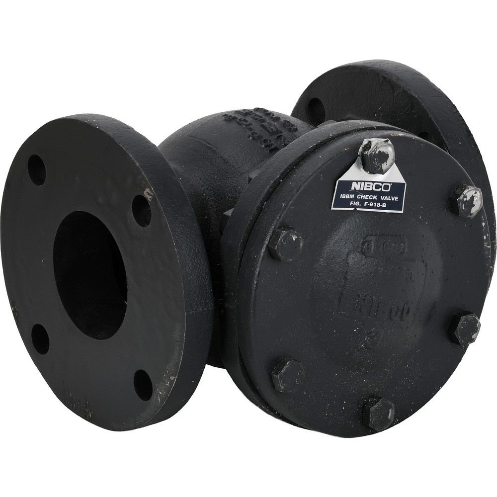 Check Valve: 3" Pipe