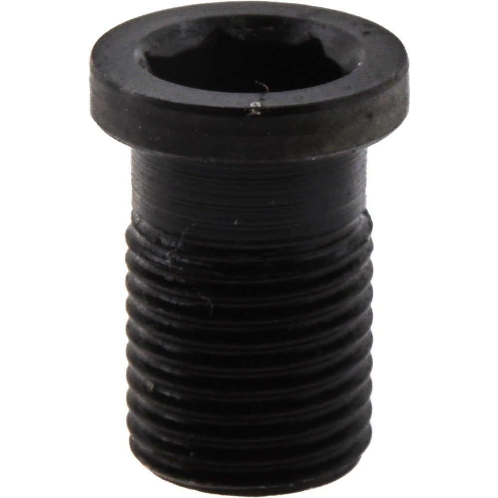 Shim Screw for Indexables: Hex Socket