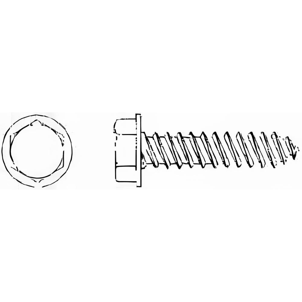 Sheet Metal Screw: #12, Hex Washer Head, Hex