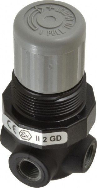 Norgren V07-100-NNLA Relief Air Valve: Knob Adjustment Actuator, 1 Position, 1/8" Inlet, NPT Thread Image