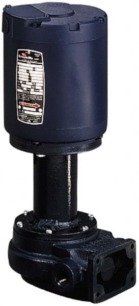 Graymills CSW111H-1/6A Flanged Outside Suction Pump: 1/6 hp, 115V, 1 Phase, 3,450 RPM, Cast Iron Housing 