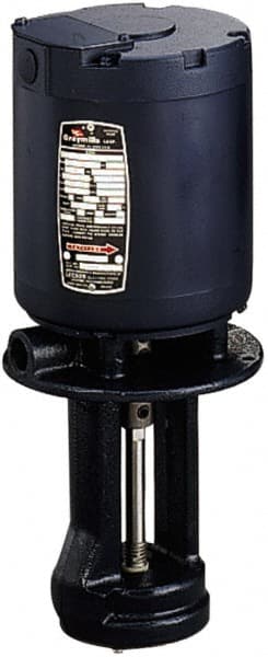 Graymills FM68H-A Immersion Pump: 1/8 hp, 115V, 1 Phase, 3,450 RPM 
