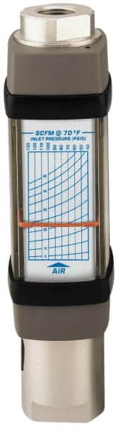 Hedland H771A-025-EP 3/4" NPTF Port Compressed Air & Gas Flowmeter 