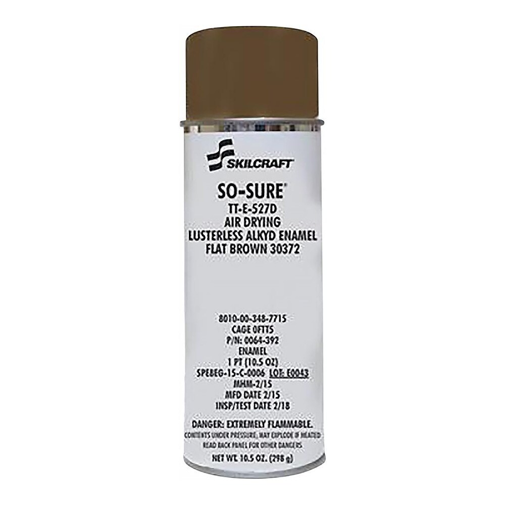 Enamel Spray Paint: Flat, 10 oz