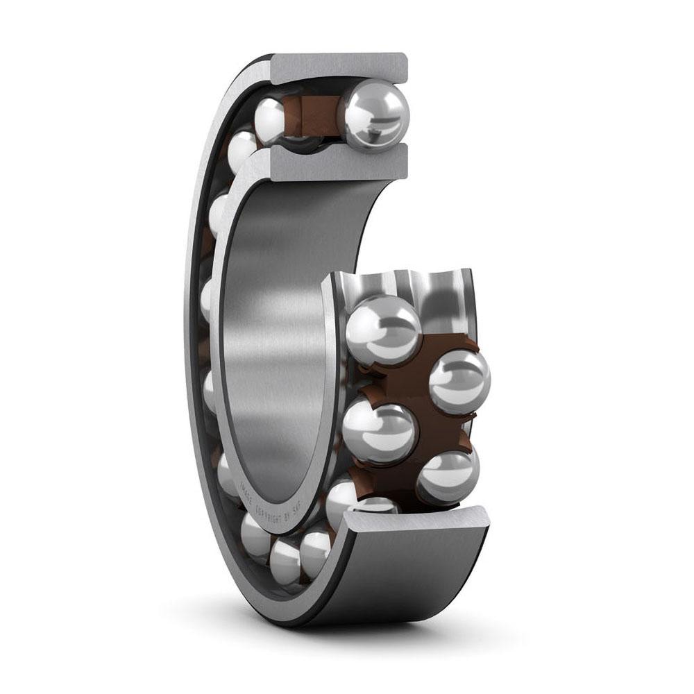 SKF 2209 EKTN9/C3 Self-Aligning Ball Bearing: 45 mm Bore Dia, 85 mm OD, 23 mm OAW, Open Image