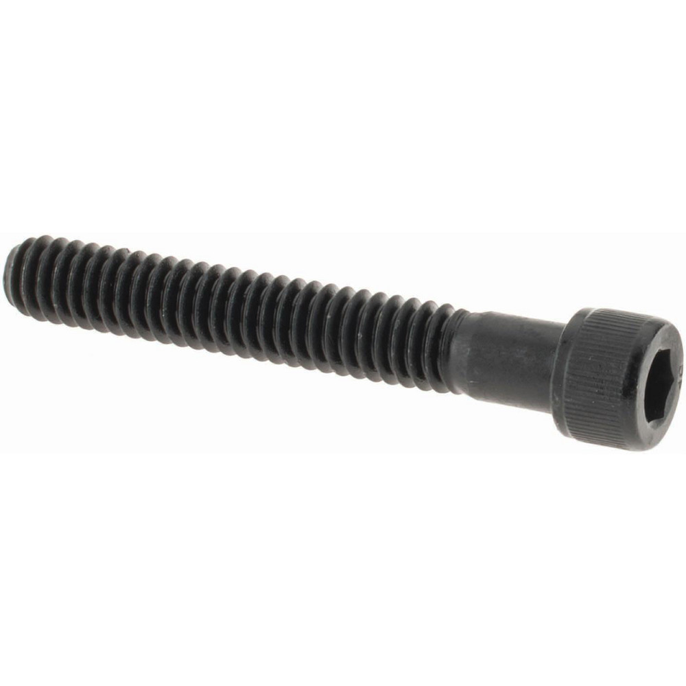 Value Collection - Hex Socket Cap Screw: 1/4-20, 1-3/4