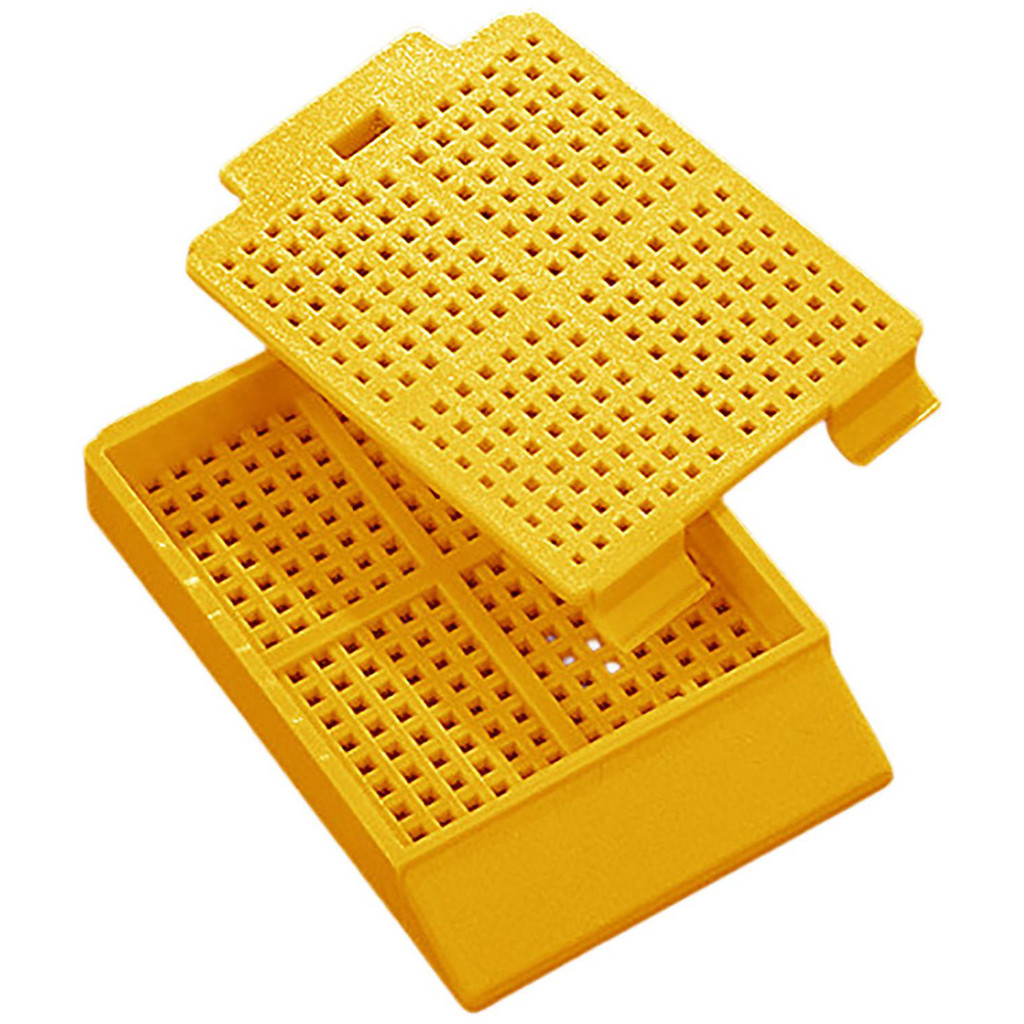 Globe Scientific Laboratory Utensils: Routine & Biopsy Cassette, Acetal Polymer | Part #1091Y