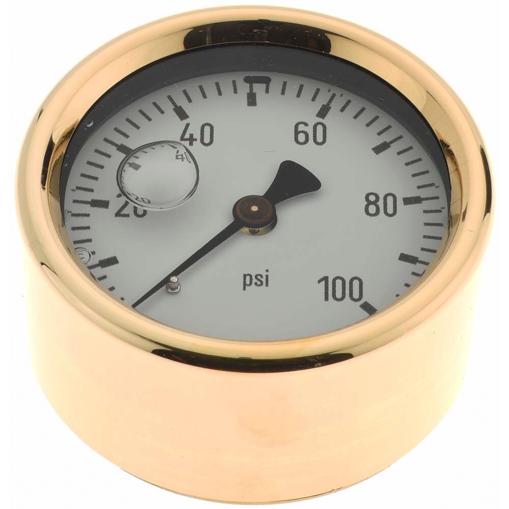 Pressure Gauge: 2-1/2" Dial, 1/4" Thread, NPT, Center Back Mount