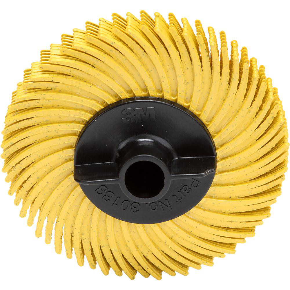 Radial Bristle Brush